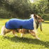 The Scoop on Derby Dog Coats' Hydro Cooling Jackets!