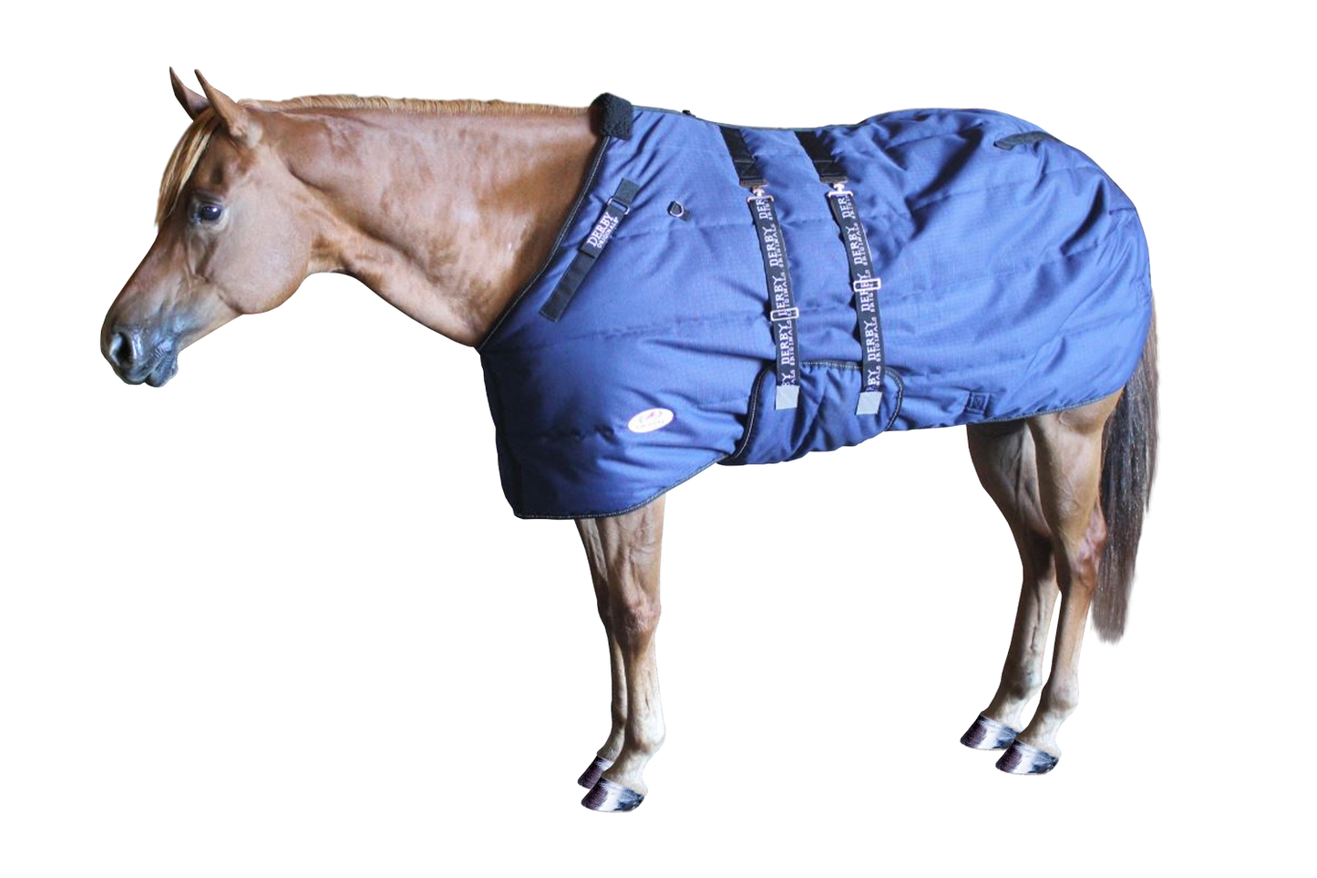Derby Originals Nordic-Tough 1200D Closed Front Reflective Winter Horse Stable Blanket – 300g Heavyweight Insulation with 1-Year Warranty