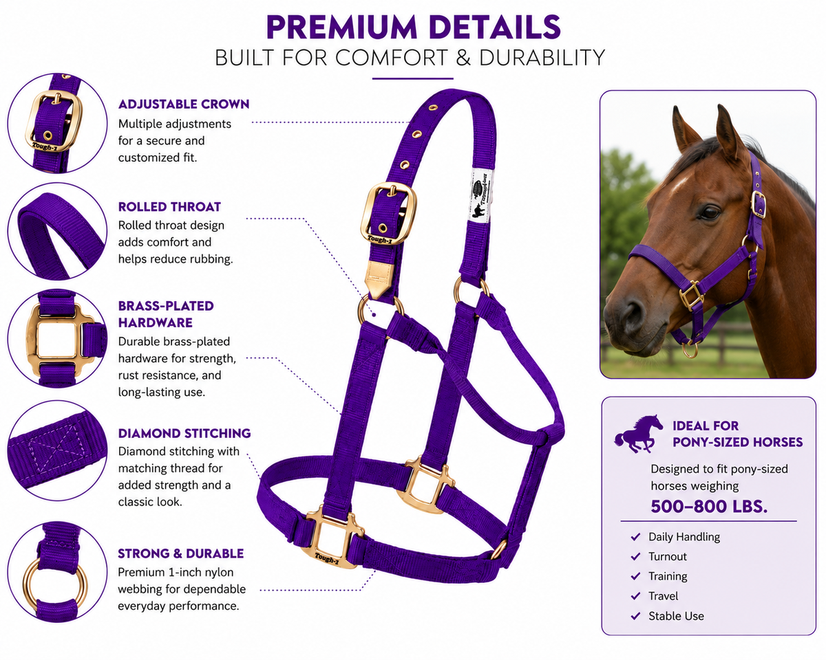 Weaver Leather Classic Nylon Horse Halter - Pony