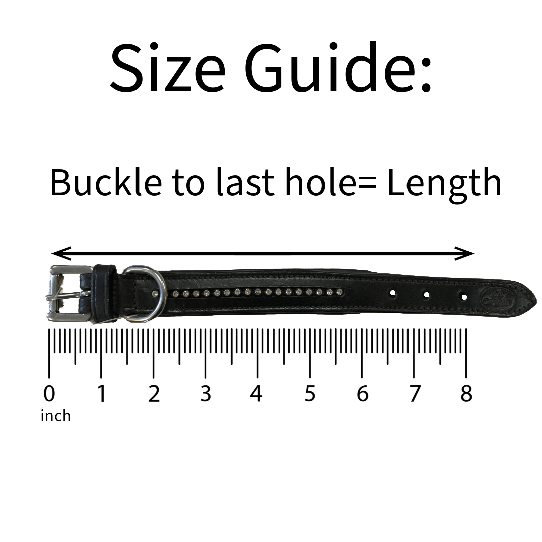 Derby Dog Designer Series USA Leather Padded Dog Collar with Swarovski Crystal Inlay with Stainless Steel Rolled Buckle for Comfort