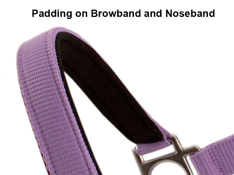 Shop Derby Padded Nylon Halter Bridle Combo With Reins Plain