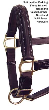 Halter_American_Padded_Noseband_CL