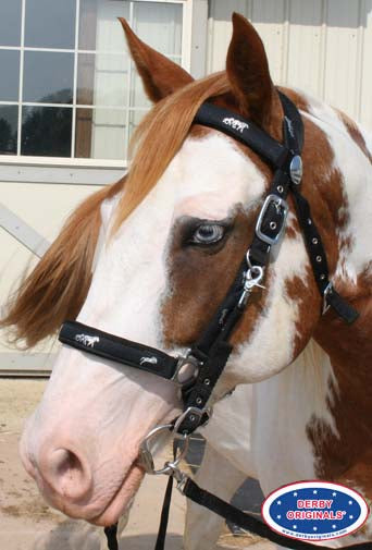 Halter Bridle Combo Horse Inlay Black