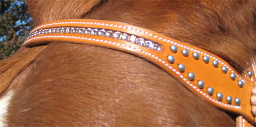 Headstall_Santa_Rosa_Brow_Horse