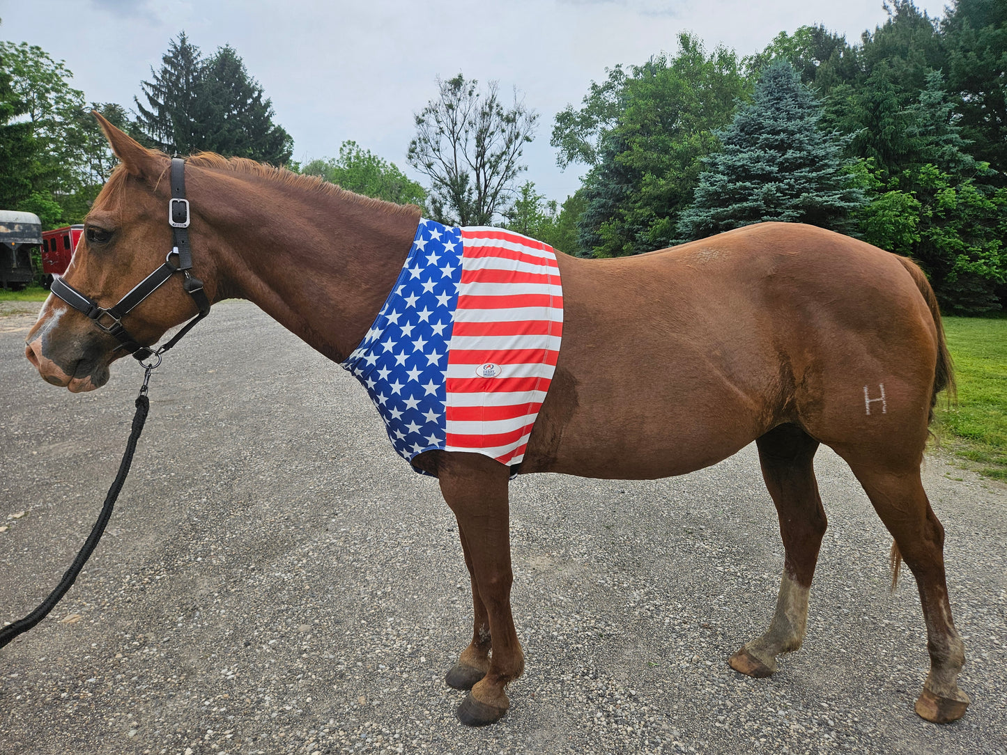 Derby Originals Patriotic Stars & Stripes Lycra Sleazy Horse Shoulder Guard – Stretch Slicker with Belly Strap, Anti-Chafe Design for Blanket Rubbing, Ideal for Parades & Shows, Full Size (78"-82")