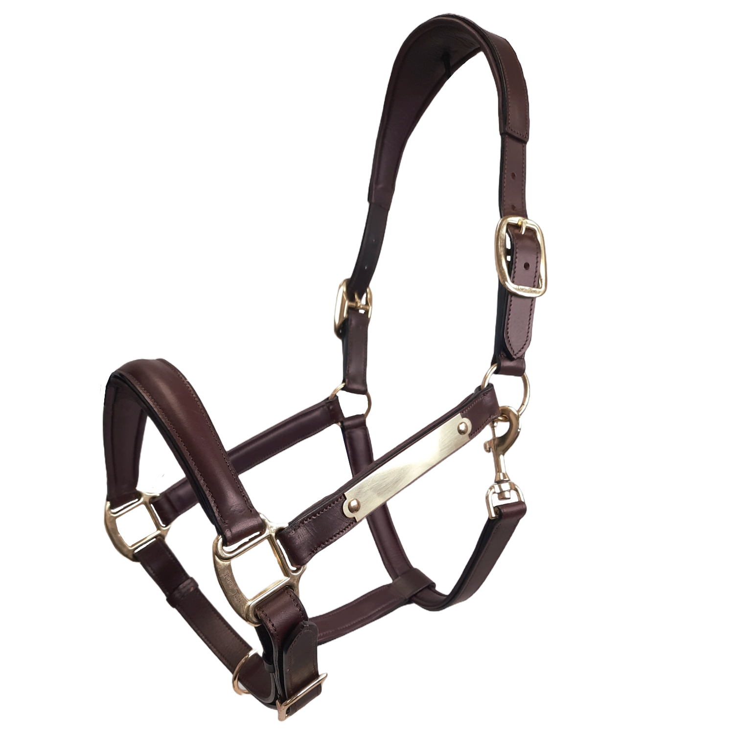 Buy A Raspberry Pink Beta Biothane Halter at Two Horse Tack Buy A Raspberry Pink Beta Biothane Halter at Two Horse Tack