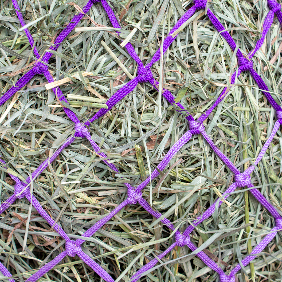 Cozi-Net slow feed hay net with gentle mesh design