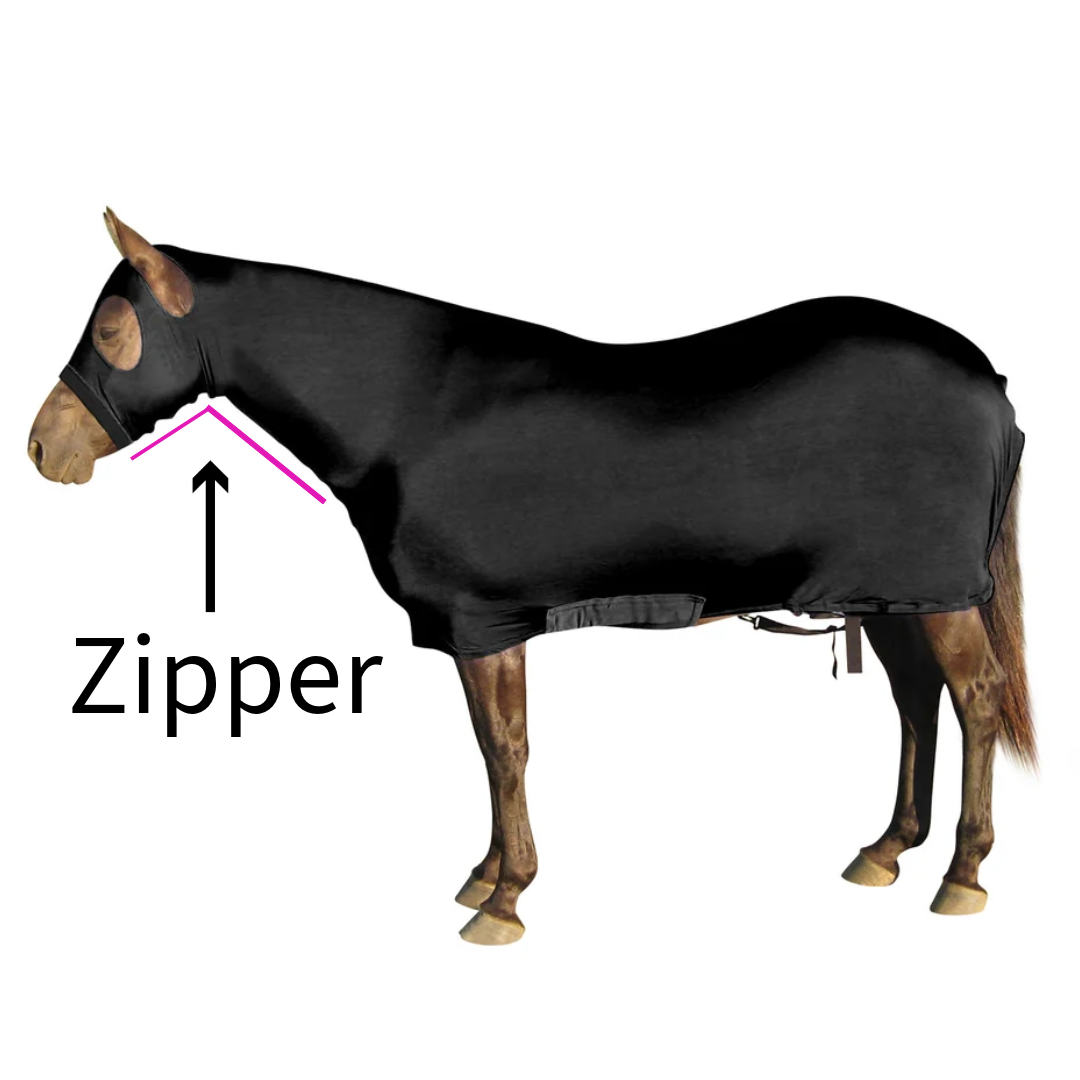 Lycra Sheet With Neck Cover Black Color