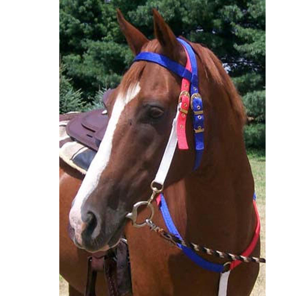 BARGIN BIN Nylon Patriotic Headstall