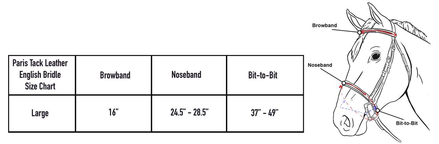 Derby Originals Everyday Raised Leather English Schooling Bridle with Laced Reins