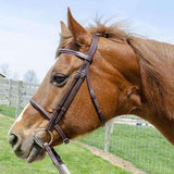 Paris Tack Raised Fancy Stitch Leather English Schooling Bridle with Laced Reins