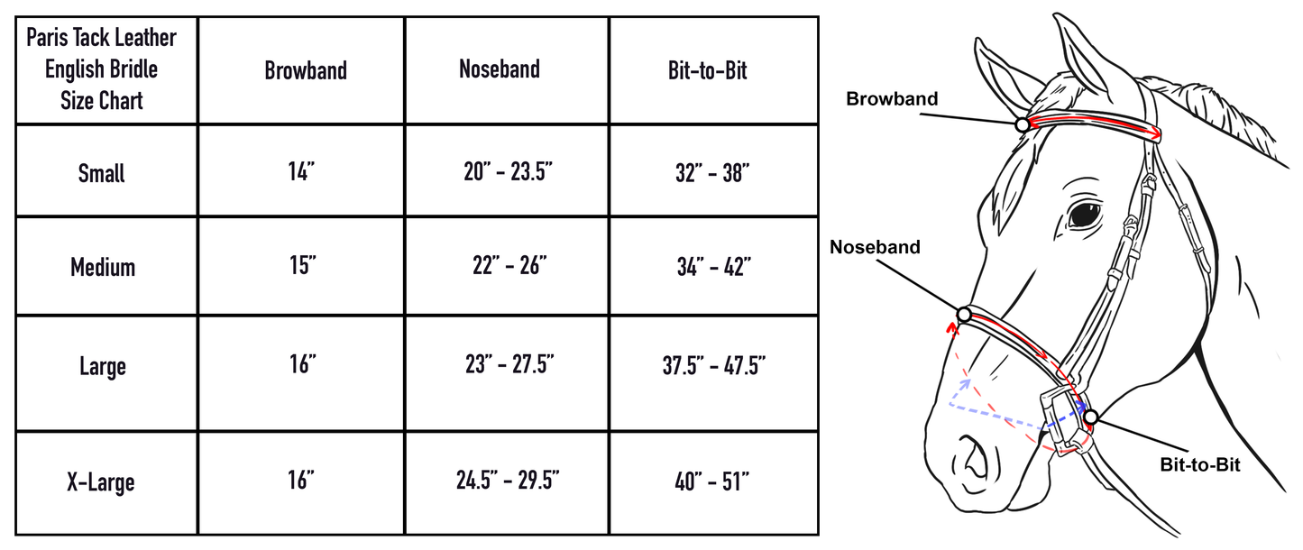 Tack Padded Raised Fancy Stitched Leather English Schooling Bridle with Removable Flash and Laced Reins