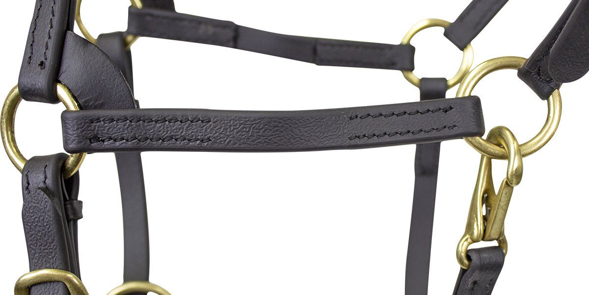 Derby Originals Premium Slimline Flex-Webb Miniature Horse Halters -Tack WholeSale