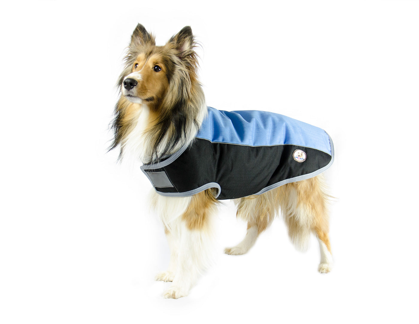 Reflective Dog Coat - Waterproof and High Visibility