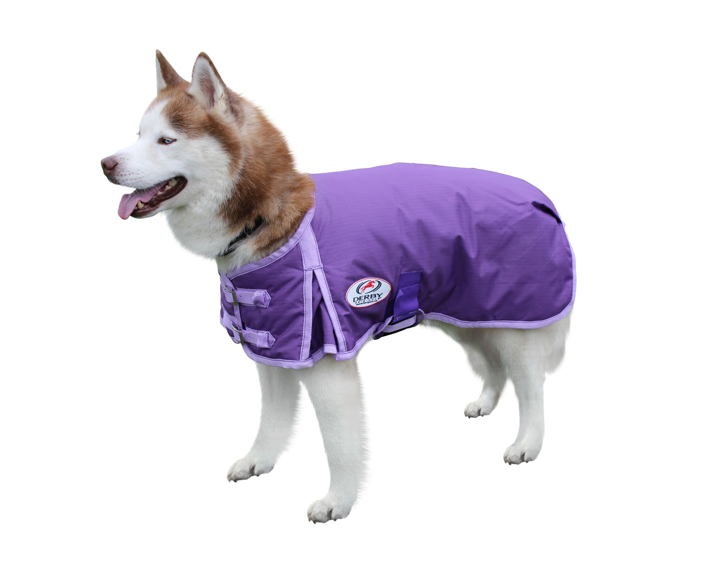 Waterproof Winter Dog Coat - Derby Originals Solid Color Ripstop Nylon