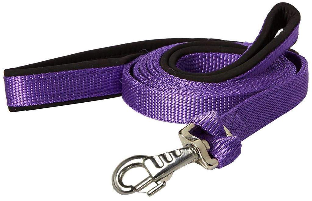 Nylon Padded Double Handle Dog Leash - 1" x 6', Replaceable Snap