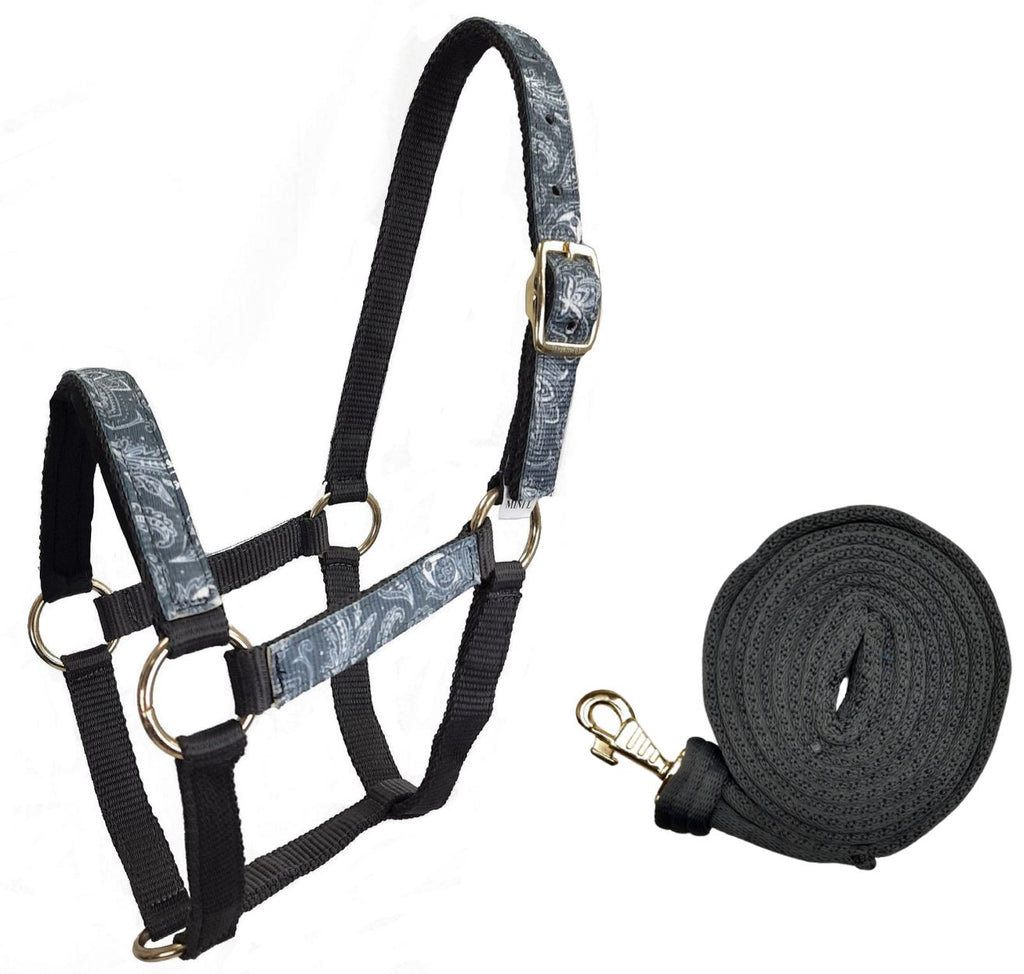 Derby Originals Padded Overlay Nylon Adjustable Halters for Mini Horses