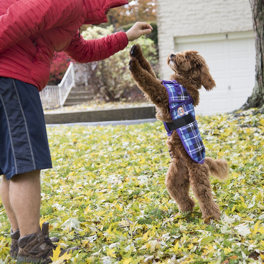 Derby Originals Horse-Tough Winter Dog Coat