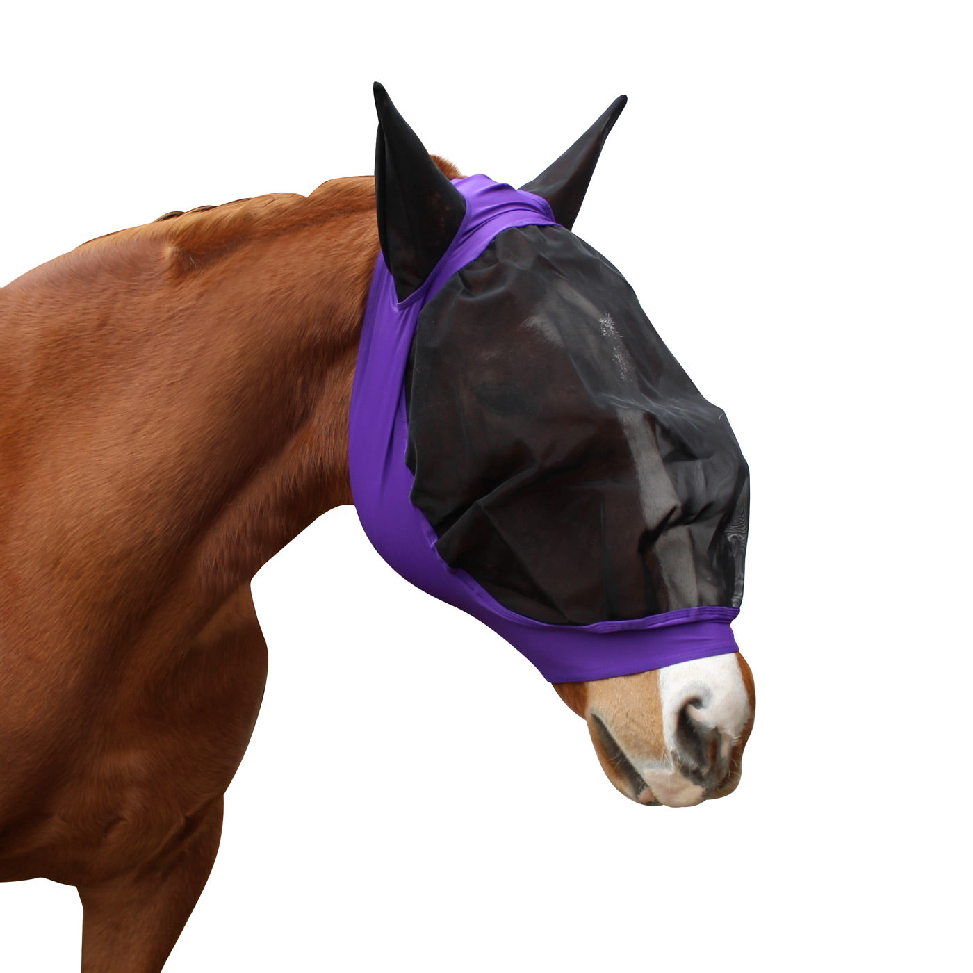 UV Protection Fly Mask for Horses