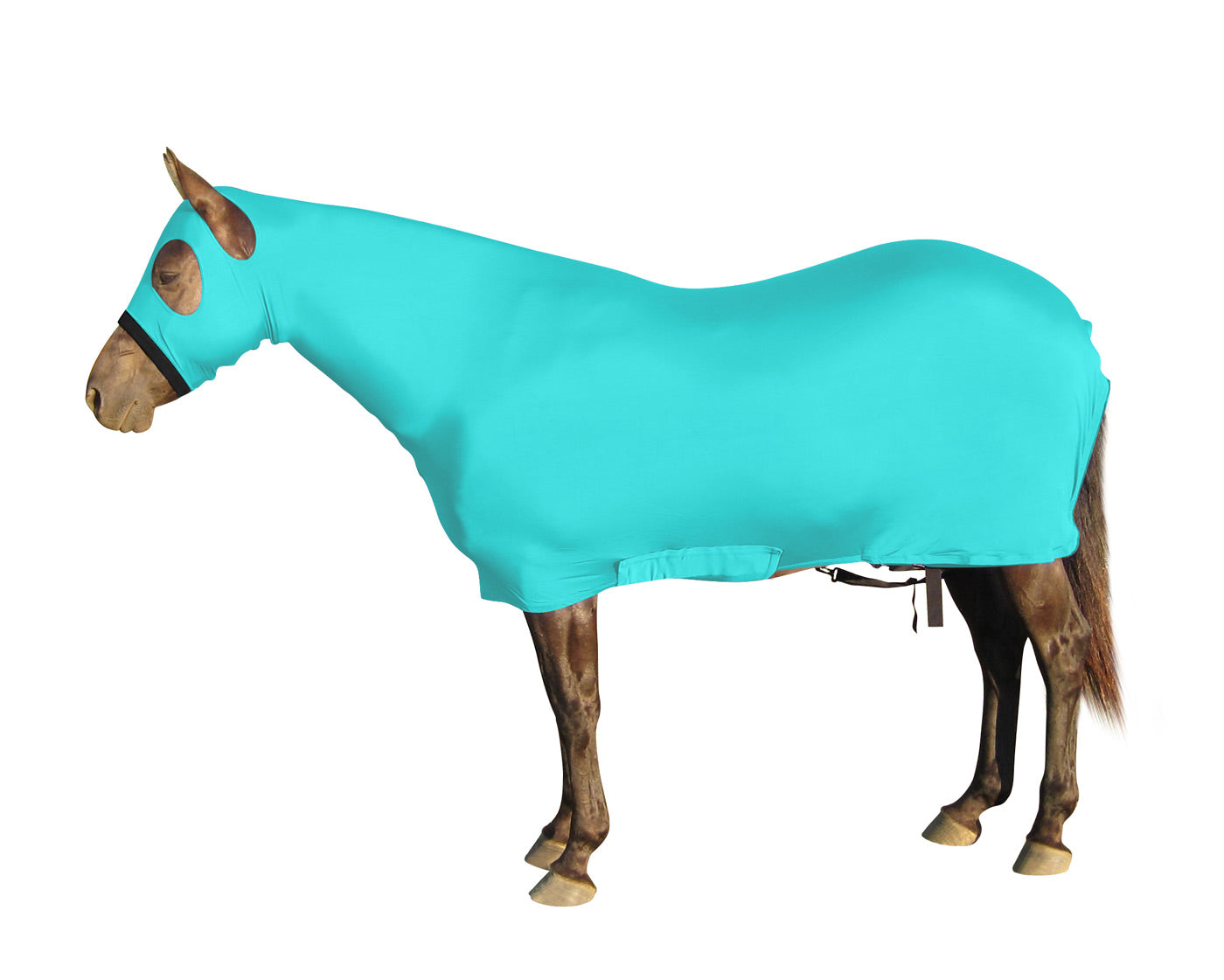Lycra Sheet With Neck Cover Blue