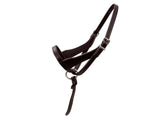 Paris Tack Double Layered Leather Grow With Me Adjustable Horse Foal Halter