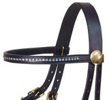 Rhinestone Halter Bridle Combo with Reins