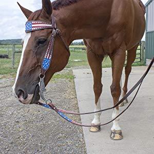 Tahoe Tack Patriotic Hand Painted American Flag Western Browband Headstall with Matching Reins