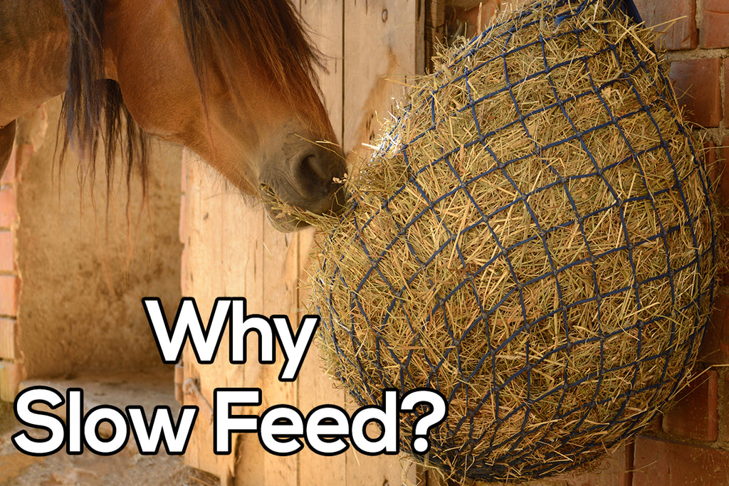 Why Feed Slow?