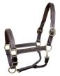 Leather Horse Halters