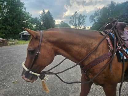 Tahoe 5/8" Natural Rawhide Braided Bosal with Rawhide Core & Leather Hanger Versatile Horse Training Gear with Classic Design & Comfortable Fit Purple/ Med Oil