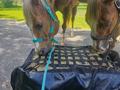 Paris Tack Large Hay Bale Bag – 44"x16"x20" Waterproof 1200D Nylon with Patented Ventilation Windows, Hand-Tooled Leather Patriotic Corners, Fits 2-String Bales, Ideal for Shows & Daily Use