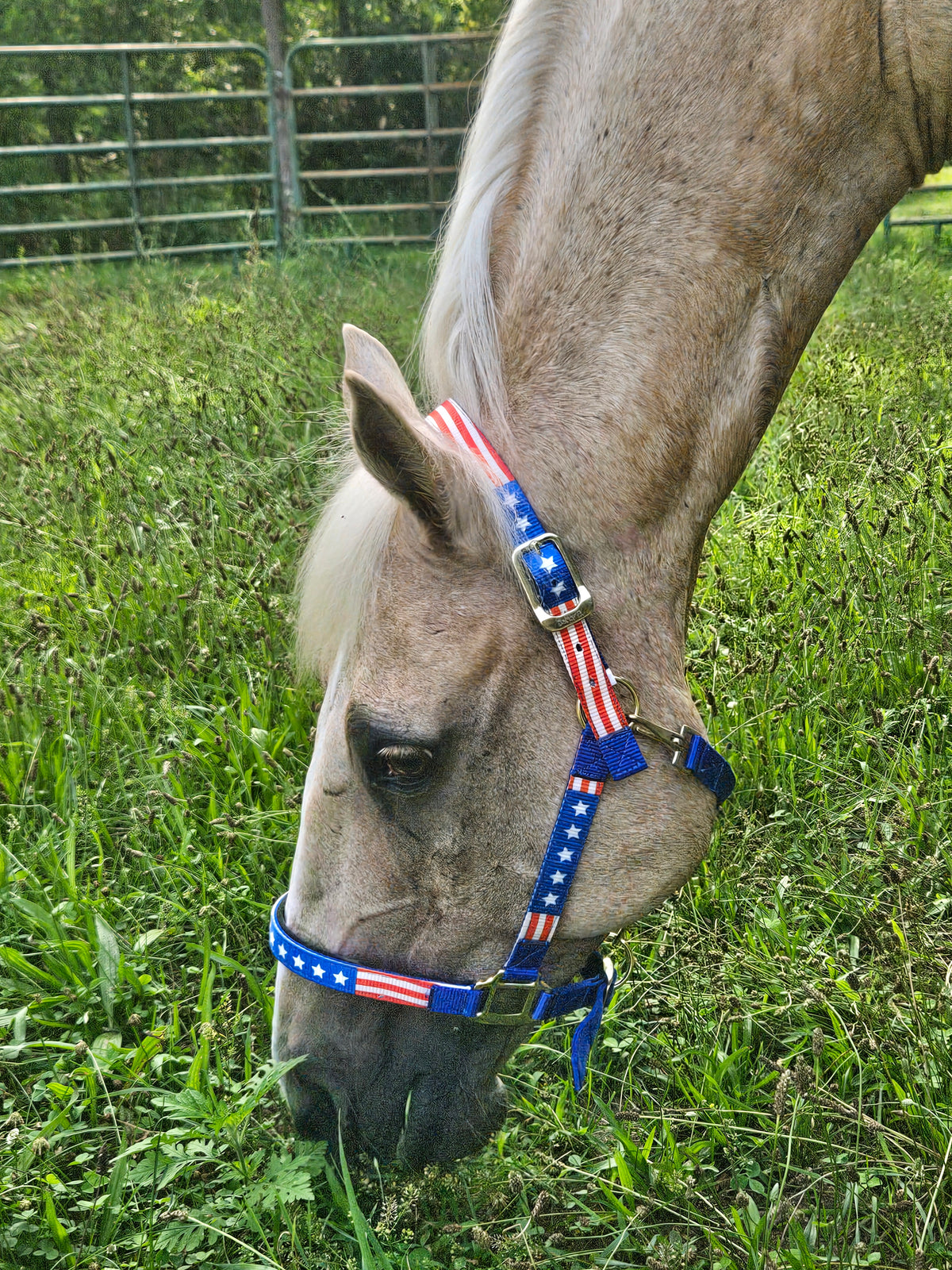 Derby Originals Patriotic Stars and Stripes Nylon Horse Halters with Matching 10’ Cotton Lead 6 month Warranty