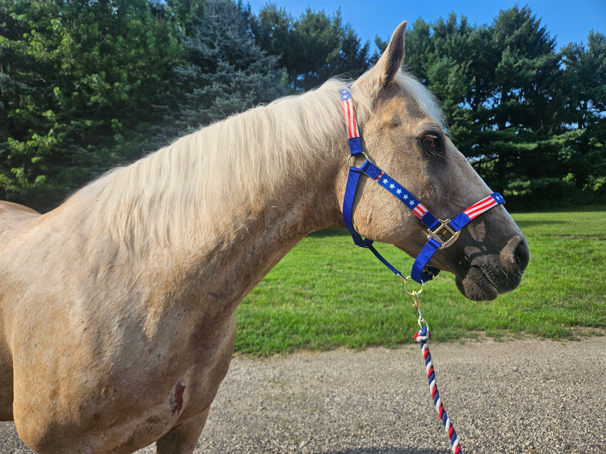 Derby Originals Patriotic Stars and Stripes Nylon Horse Halters with Matching 10’ Cotton Lead 6 month Warranty