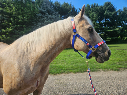 Derby Originals Patriotic Stars and Stripes Nylon Horse Halters with Matching 10’ Cotton Lead 6 month Warranty