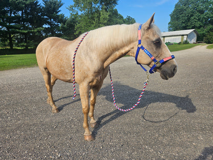 Derby Originals Patriotic Stars and Stripes Nylon Horse Halters with Matching 10’ Cotton Lead 6 month Warranty