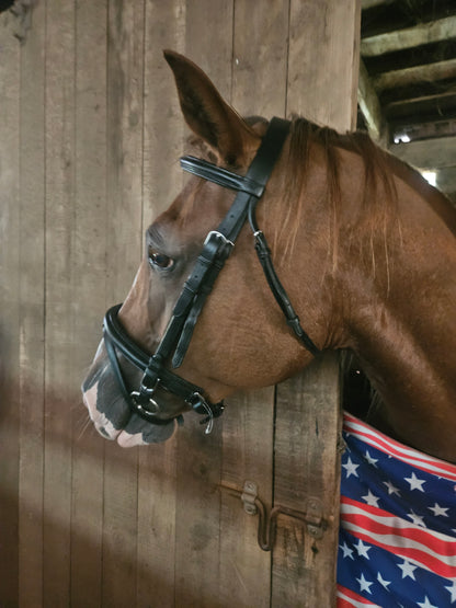 Paris Tack Black Leather Dressage Crank Horse Bridle with Flash and Rubber Reins