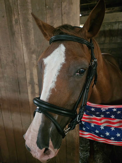 Paris Tack Black Leather Dressage Crank Horse Bridle with Flash and Rubber Reins