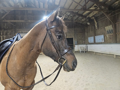 Paris Tack Classic Flat Leather English Hunt Bridle with Laced Reins and 1 Year Warranty
