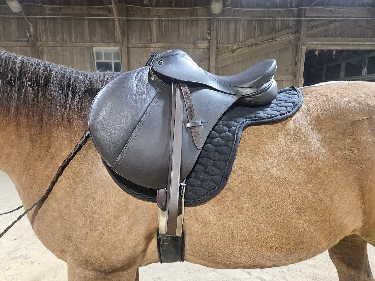 Derby Originals  All Purpose Quilted Contour English Saddle Pad