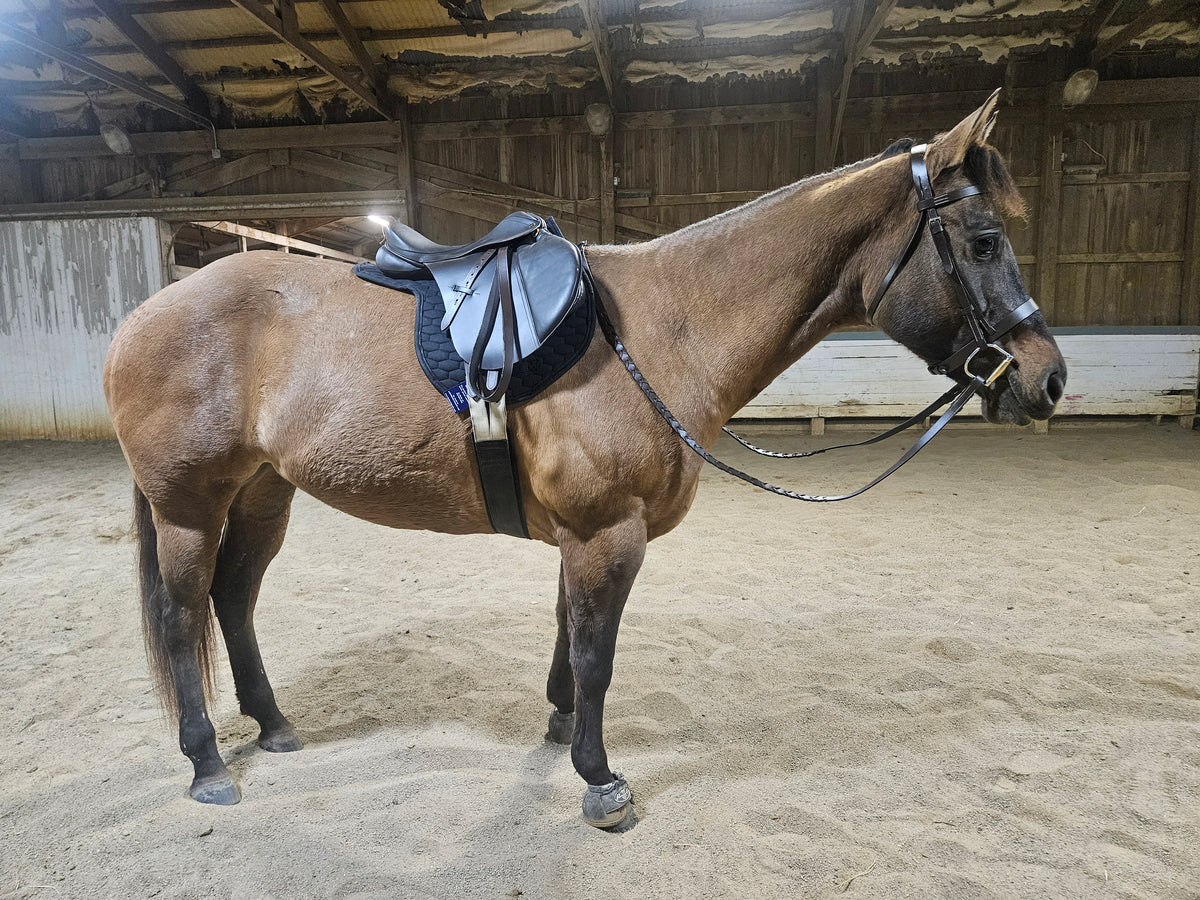 Derby Originals  All Purpose Quilted Contour English Saddle Pad