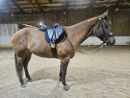 Derby Originals  All Purpose Quilted Contour English Saddle Pad