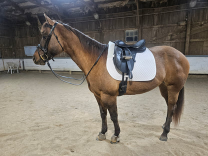 Derby Originals Semi Fleece Lined English Dressage Saddle Pad with Rolled Fleece