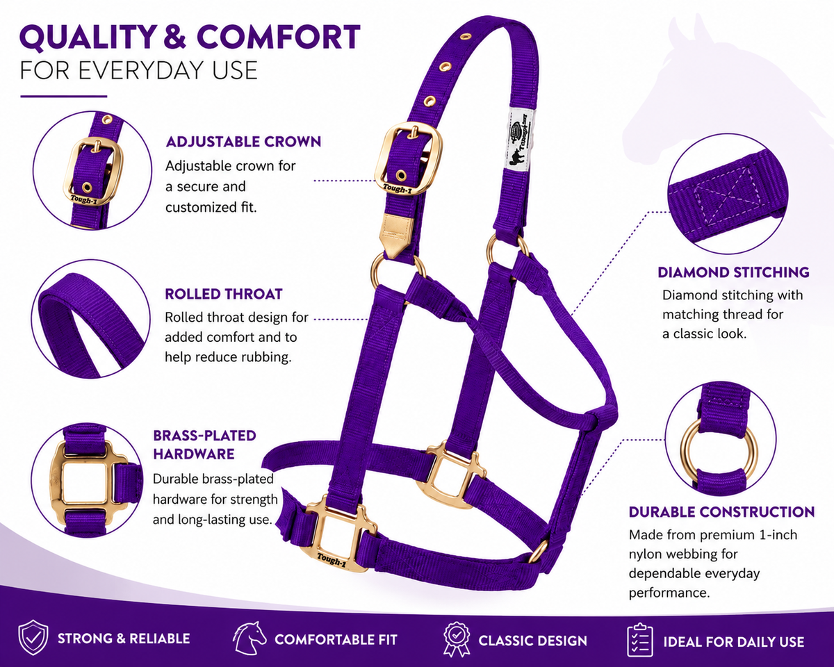 Weaver Leather Classic Nylon Horse Halter - Pony