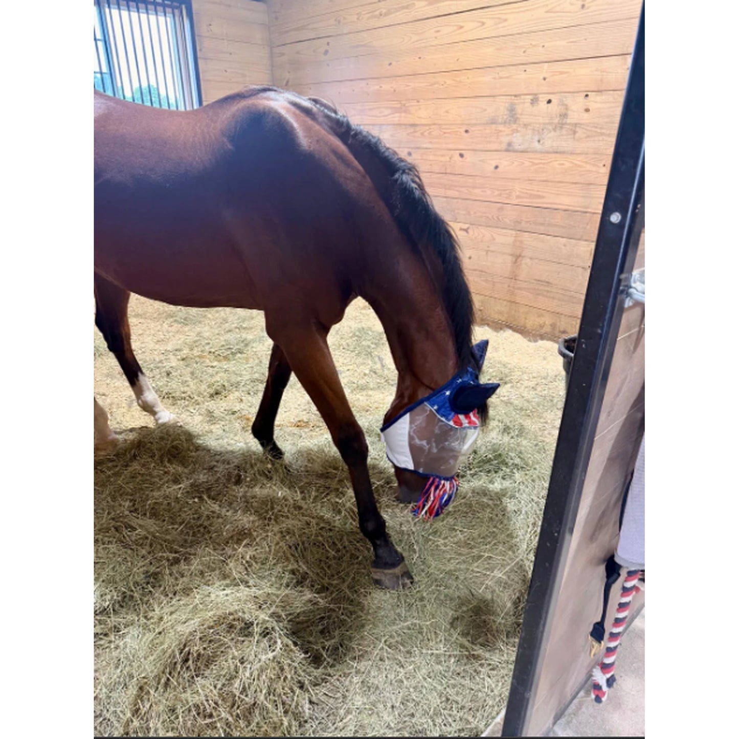 Derby Originals UV-Blocker Premium Reflective Safety Horse Fly Mask with Ears and Nose Fringe with One Year Warranty