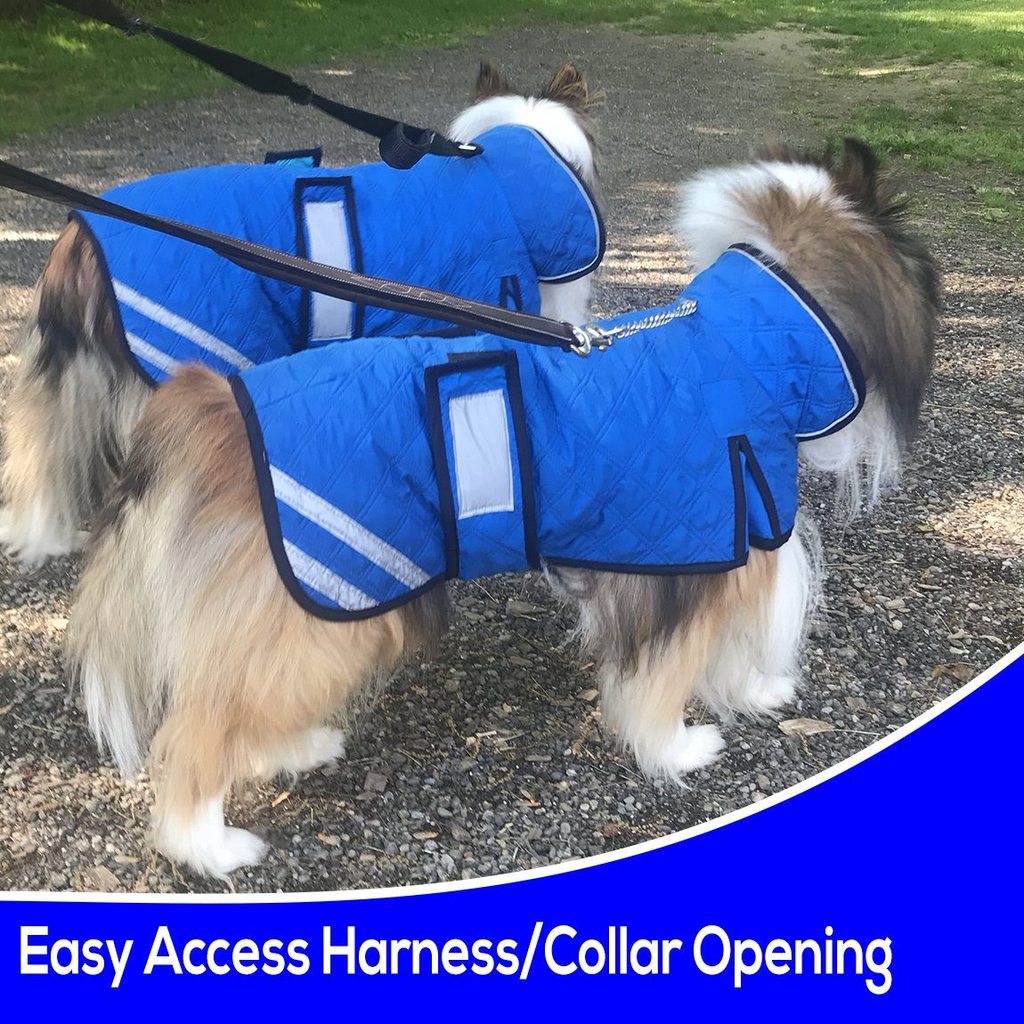 Derby Originals Hydro Cooling Dog Jacket – Evaporative Cooling Vest with Adjustable Belly Band, Reflective Trim & Harness Opening, Lightweight Summer Coat for Dogs