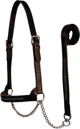 New & Improved Premium Crystal Bling Inlay Flat Leather Cattle Show Halter with Chain Lead   - One Year Limited Warranty