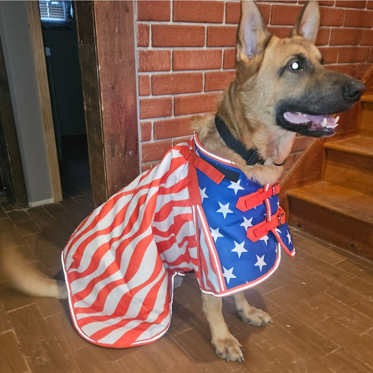 Derby Originals 600D Waterproof Loyal Patriot™ Dog Coat 70D Lining, 150 Polyfill