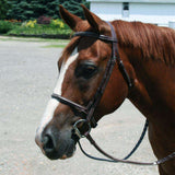 Paris Tack Opulent Series Raised Fancy Stitched Leather English Schooling Bridle with Laced Reins USA Leather