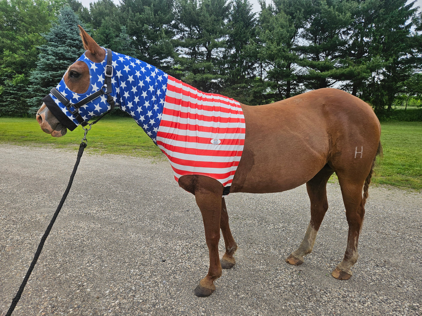Derby Originals Patriotic Stars & Stripes Lycra Horse Sleazy Hood with Zipper, Fleece Noseband, Belly Strap – Stretch Neck Cover for Average Horses, Great for Shows & Parades.