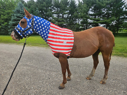Derby Originals Patriotic Stars & Stripes Lycra Horse Sleazy Hood with Zipper, Fleece Noseband, Belly Strap – Stretch Neck Cover for Average Horses, Great for Shows & Parades.